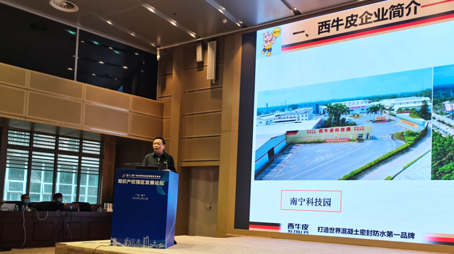  西牛皮分享“國家知識產(chǎn)權(quán)示范企業(yè)”先進(jìn)管理經(jīng)驗(yàn)，為推動廣西知識產(chǎn)權(quán)強(qiáng)區(qū)建設(shè)貢獻(xiàn)力量