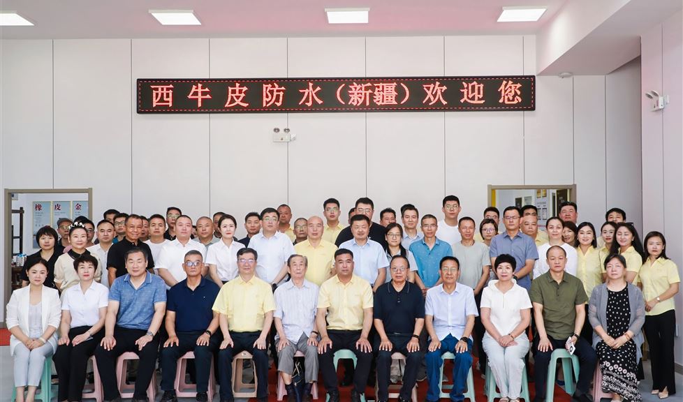 西牛皮，在新疆，排頭兵，一定行！