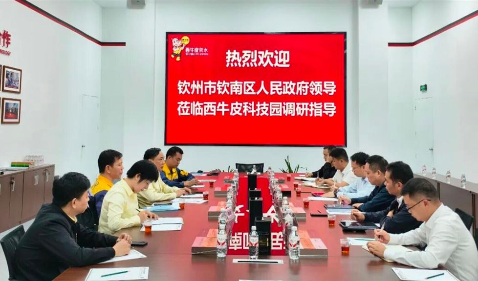 西牛皮（南寧）科技園迎來(lái)欽州市欽南區(qū)人民政府領(lǐng)導(dǎo)一行