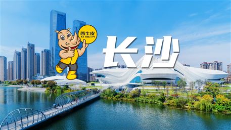 西牛皮-長(zhǎng)沙
