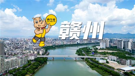 西牛皮-贛州