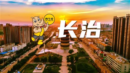 西牛皮-長(zhǎng)治