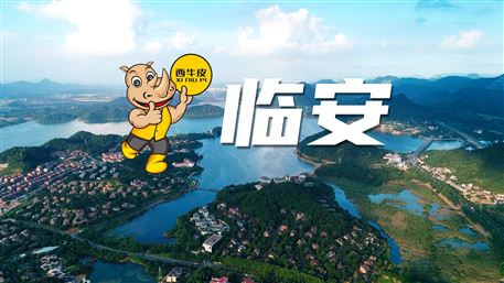 西牛皮-臨安